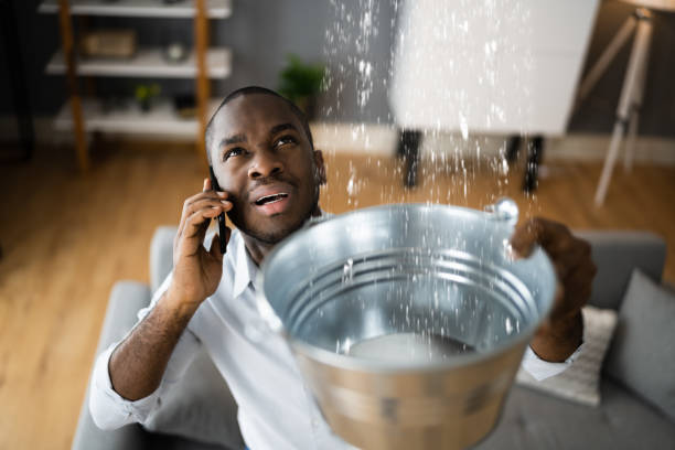 Water damage restoration mold remediation in NM