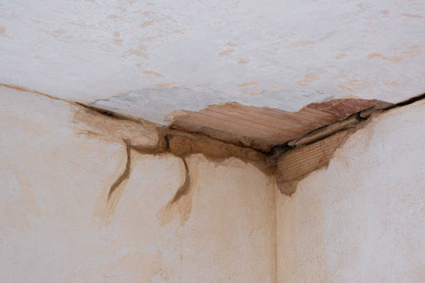 Best Ceiling water damage repair  in Placitas, NM