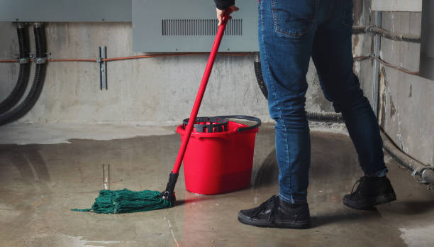 Best Water damage cleanup near me  in Placitas, NM