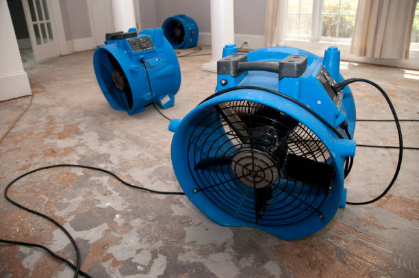 Best Sewage cleanup and water damage restoration  in Placitas, NM