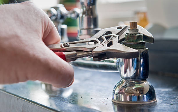 Best Professional water damage repair  in Placitas, NM