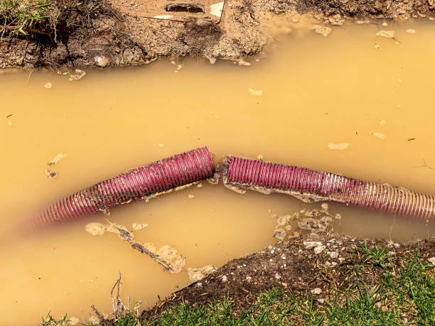 Best Water damage contractors near me  in Placitas, NM